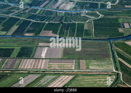 Plantagen am Neretva-Delta, Kroatien Stockfoto