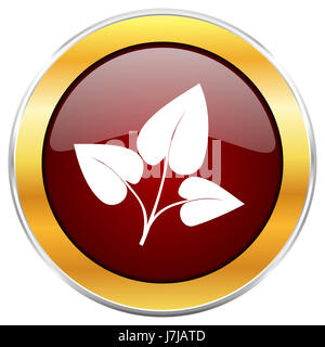 Blatt rot Web-Symbol mit goldenen Rahmen isoliert auf weißem Hintergrund. Runde glänzende Knopf. Stockfoto