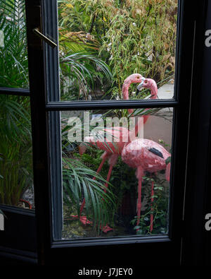 Rosa Flamigoes und üppigem Grün auf Balkon durch Flügeltüren des Salons Stockfoto