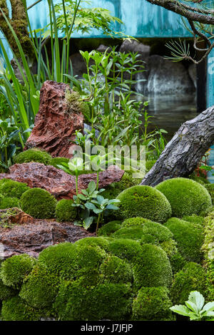 RHS Chelsea Flower Show 2017 Schaugärten Stockfoto