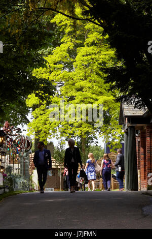 RHS Chelsea Flower Show 2017 Schaugärten Stockfoto