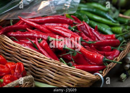 Korb mit roten Chilischoten auf den Borough Market in London Stockfoto