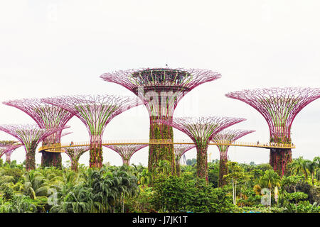 15. Januar 2016, Singapur - Supertree Gardens by the Bay in Marina Bay Stockfoto