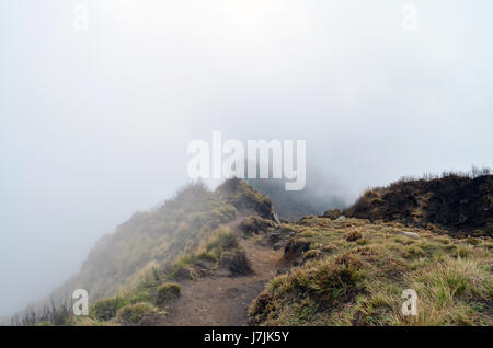Himalaya Bergstraße im Nebel. Neblig Himalaya Weg. Nepal, Annapurna-region Stockfoto