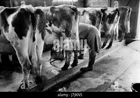 Landwirt Kühe melken von Hand mit Pumpe. 70 s UK Gloucestershire 1970 s Großbritannien Dorf leben 1975 der Cotswolds. Untere und obere Schlachtung sind zwei Dörfer auf dem Fluss Auge und werden wissen, wie die schlachtungen. 1975 HOMER SYKES Stockfoto