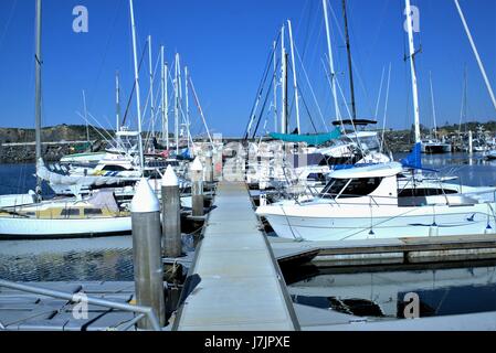 Yachten festgemacht an einem Jachthafen. Boote an einer Pier. Segel Boote an der Marina in Coffs Harbour, Australien geparkt Stockfoto