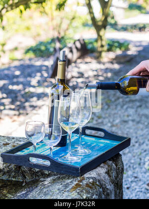 Weinprobe in einem der Weingüter in Vale do Douro. Stockfoto