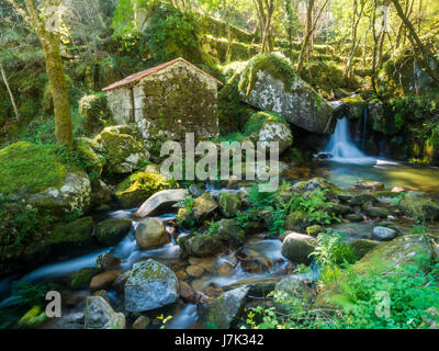 Verlassenen kleinen Haus oder Mühle im Wald in Vale Douro, Portugal. Stockfoto