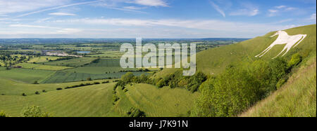 Blick von Westbury White Horse. Hill-Figur geschaffen, indem man weißen Kreide auf der Böschung der Salisbury Plain in Wiltshire, Großbritannien Stockfoto