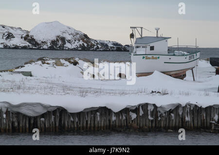 12 FEB 2011 22 Neufundland 056 Ferryland (5453351416) Stockfoto