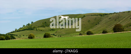 Panorama von Westbury White Horse. Hill-Figur geschaffen, indem man weißen Kreide auf der Böschung der Salisbury Plain in Wiltshire, Großbritannien Stockfoto