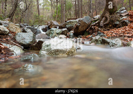 Friedliche Scenic-Stream In den Bergen Stockfoto