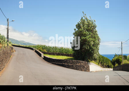 Asphalt-niemand Azoren Landschaft Landschaft Landschaft Natur ländliche Straße Stockfoto