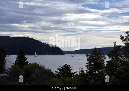 West Head Aussichtspunkt auf der anderen Seite der Bucht. Yach Segeln auf dem Wasser. Anzeigen von Palm Beach. Stockfoto