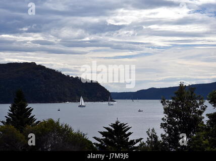 West Head Aussichtspunkt auf der anderen Seite der Bucht. Yach Segeln auf dem Wasser. Anzeigen von Palm Beach. Stockfoto