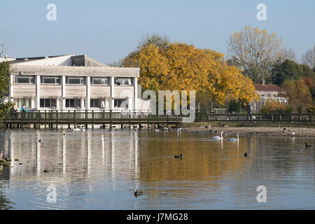 Szenen von der Website des Weingutes Wildfowl und Feuchtgebiete Vertrauen in Slimbridge, Gloucestershire, England Stockfoto