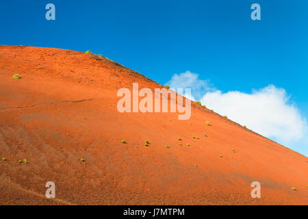 Detail des roten Schlackenkegel Caldera Colorada in Lanzarote, Spanien mit blauem Himmel. Stockfoto