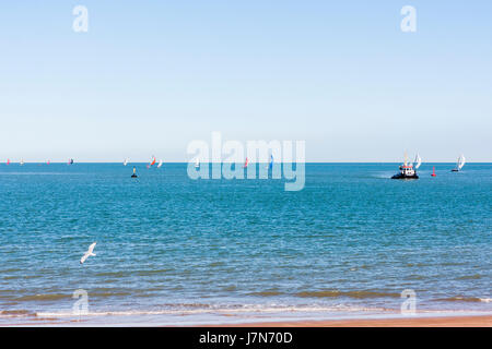 England, Ramsgate. Fernen Schuss viele Yachten Segeln am Horizont auf einem ruhigen Meer beim Konkurrieren in der Euro-Regatta Rennen von Ostende nach Ramsgate. Haben alle Segel voll geöffnet. Stockfoto