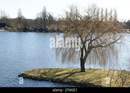Dieses Bild vom 26. Februar 2012 zeigt die ruhige Landschaft des Baum Schweriner Innensees in Schwerin. Das Foto zeigt das ruhige Wasser des Sees und die umliegenden Bäume und spiegelt die friedliche Umgebung der Region wider. Stockfoto