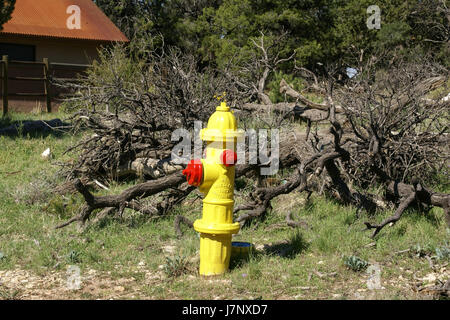 Am 14. September 2012 wurde ein Hydrant am Grand Canyon in Arizona fotografiert. Das Bild zeigt eine Gegenüberstellung der modernen Infrastruktur mit der natürlichen Schönheit der Landschaft des Grand Canyon. Stockfoto