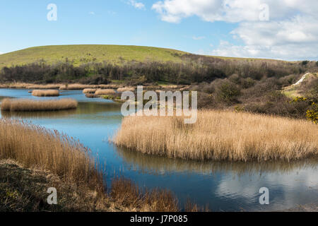 Aberthaw Naturschutzgebiet Süd-Wales Stockfoto