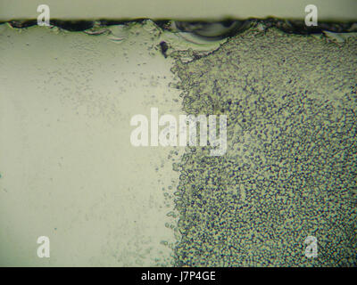 Dieses Bild bietet eine 100-fach vergrößerte Ansicht von glattem und mattiertem Glas und zeigt komplizierte Oberflächendetails und Texturen, die das frostige Erscheinungsbild und die Glätte des glassâ hervorheben. Stockfoto