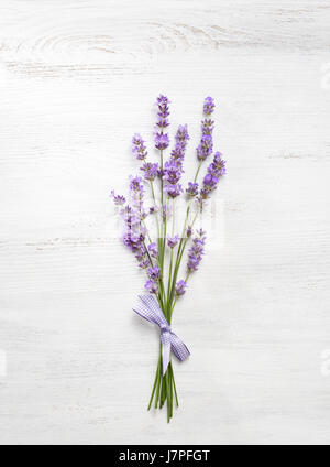 Bündel von Lavendel auf alten Holzbrett weiß lackiert. Stockfoto