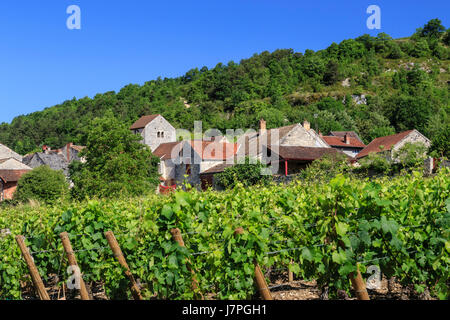 Frankreich, Cote d'Or, Auxey-Herrines, Auxey-le-Petit, das Dorf und das Weingut Stockfoto