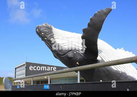 Ecomare - Buckelwal Skulptur Stockfoto