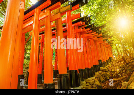 Torii-Tore Kyoto Stockfoto