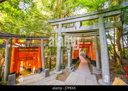 Doppelte Korridor Fushimi Inari Stockfoto