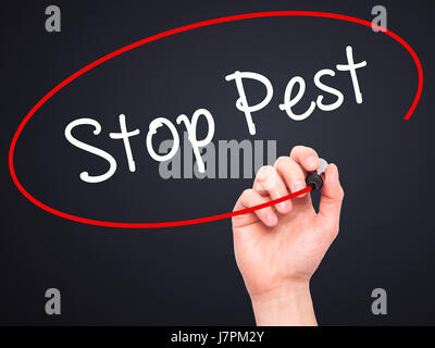 Hand des Mannes stoppen Schädling mit schwarzem Filzstift auf Bildschirm zu schreiben. Auf Hintergrund isoliert. Wirtschaft, Technologie, Internet-Konzept. Stock Foto Stockfoto