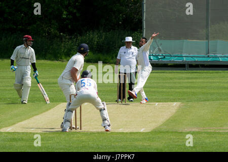 Hochschulsport, UK - Herren cricket Stockfoto