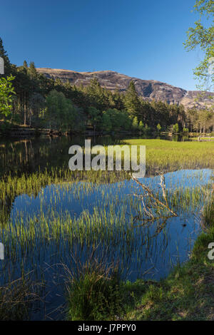 Ein Bild von Glencoe Village man an einem schönen Frühlingsabend mit den Bergen von Glencoe im Hintergrund. Stockfoto