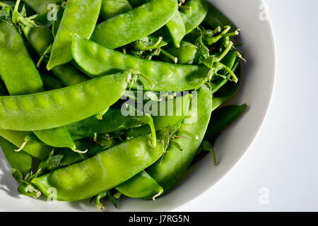 frisch geerntete Erbsen aus Pennsylvania, USA Stockfoto