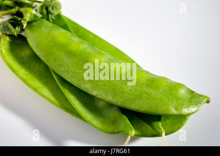 frisch geerntete Erbsen aus Pennsylvania, USA Stockfoto