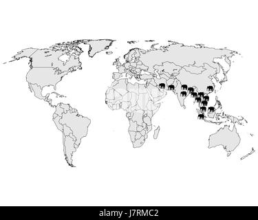Melden Sie Signal optional Tier Asien Elefant schwarz dunkelhäutigen kohlschwarze tiefschwarz Stockfoto