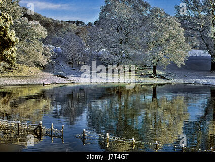 Eine verschneite Winterlandschaft über Kalb in der Nähe der Bucht von Derwent Water, in der Nähe von Keswick, mit Schnee bedeckten Bäumen im See spiegeln Stockfoto