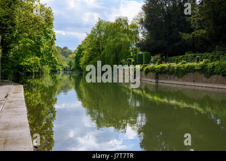 Der Fluss Avon in Bradford on Avon, Wiltshire, England. Stockfoto