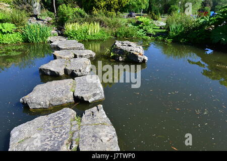 Eine öffentliche Steingarten in Brighton, Sussex an einem Frühlingsmorgen. Stockfoto