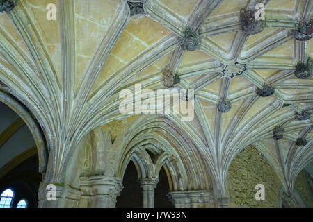Kreuzgänge Lacock Abbey Wiltshire, England DSC00862 Stockfoto