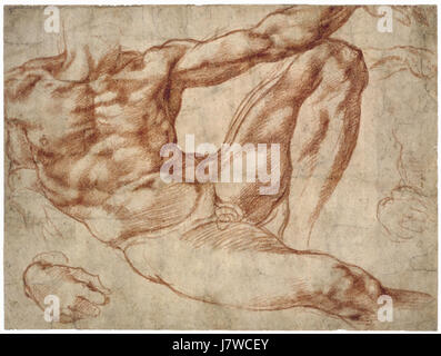 Adam-Studie Michelangelo Stockfoto