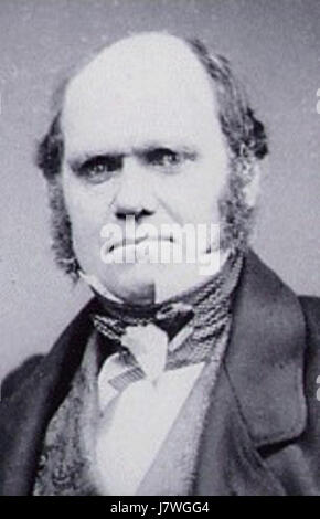 Ein Porträt von Charles Darwin (1809–1882), dem englischen Naturforscher, der vor allem für die Entwicklung der Evolutionstheorie durch natürliche Zuchtwahl bekannt ist und die biologische Wissenschaft für immer verändert. Stockfoto
