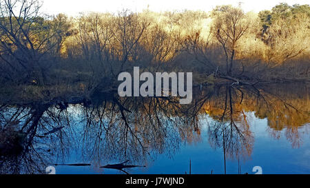 13Ib PENA BLANCA LAKE (12-14-2016) westlich von Nogales, scc, az 01 Kopie (32100264101) Stockfoto