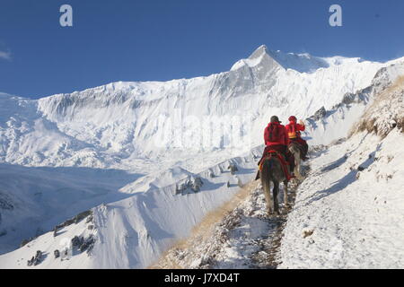 Mönche nehmen Pferd, Berg, Tilicho See Nepal zu gehen Stockfoto