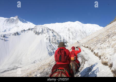Mönche nehmen Pferd, Berg, Tilicho See Nepal zu gehen Stockfoto