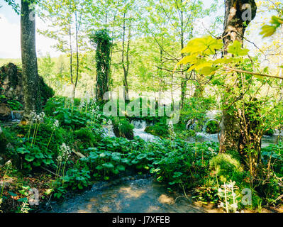 Wasserfall im Nationalpark Plitvicer Seen, Kroatien. Wasserfall Stockfoto