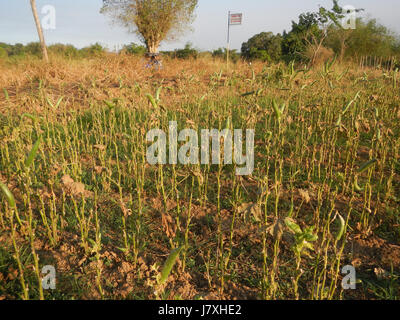 Dieser Eintrag bezieht sich auf die städtischen Straßen, Landschaften und Barangays (Dörfer) von San Rafael, Ildefonso, Bulacan. Das Gebiet bietet verschiedene malerische Landschaften und ist von lokalen Baranggays geprägt, die zur Entwicklung der Gemeinde und Infrastruktur der Region beitragen. Stockfoto