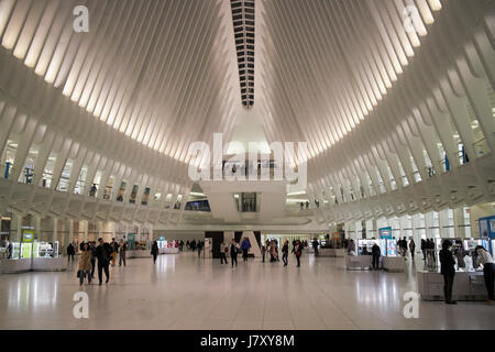 World Trade Center Verkehrsknotenpunkt und Einkaufszentrum Westfield World Trade Center bekannt als das Oculus New York Vereinigte Staaten Stockfoto