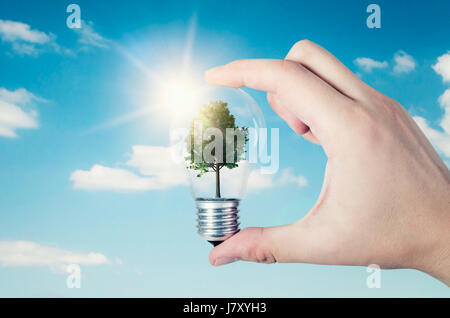 Energie-Effizienz-Konzept. Abstrakte Komposition mit Baum Birne auf Natur Hintergrund Stockfoto